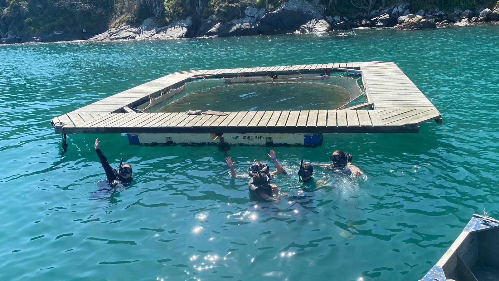 Visitantes em atividade de mergulho na fazenda marinha de Arraial do Cabo